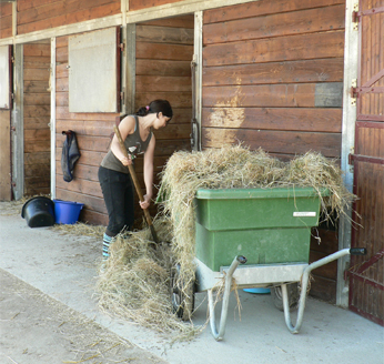 Diarrhées chez le cheval