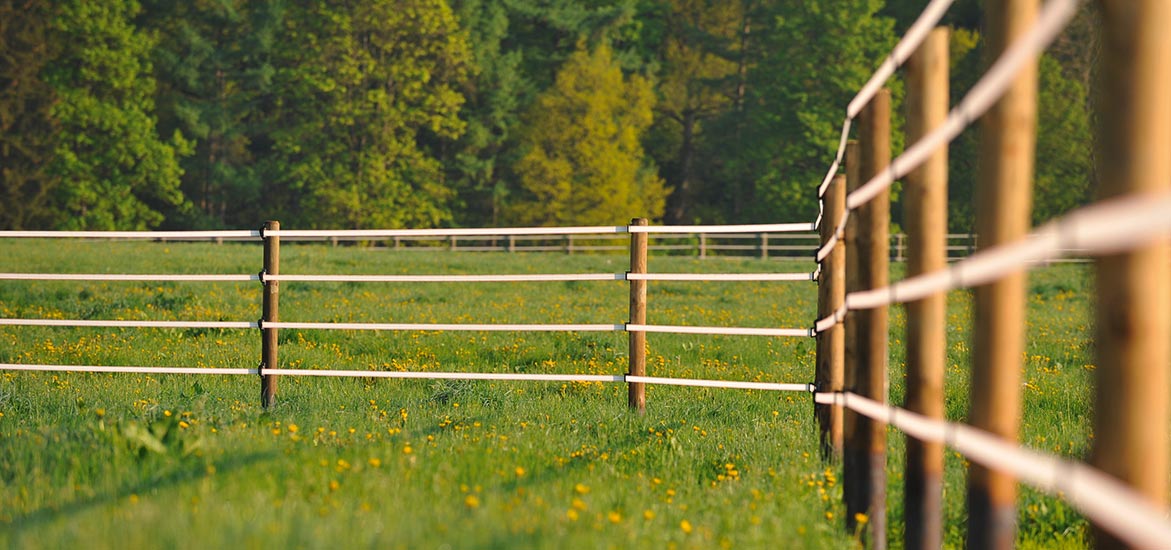 Comment bien choisir sa clôture électrique ?