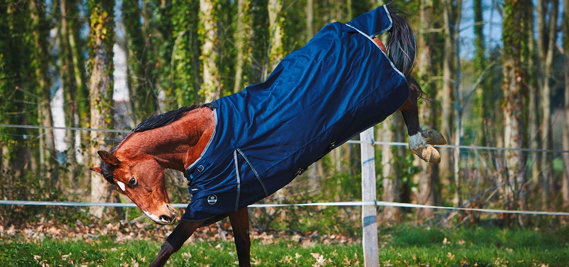 Comment bien choisir sa couverture d’équitation ?