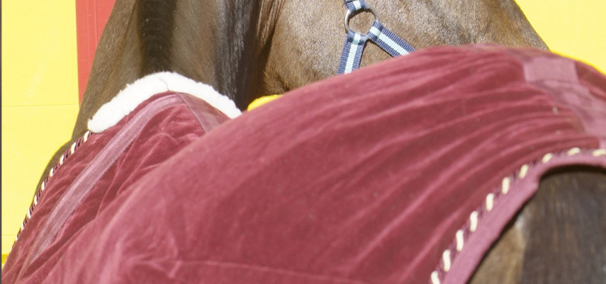 Couvertures pour chevaux, mode d'emploi …