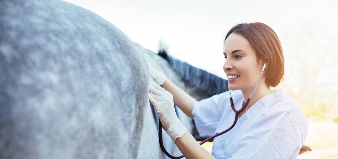 Grippe, gourme, rhinopneumonie … comment protéger mes chevaux ?