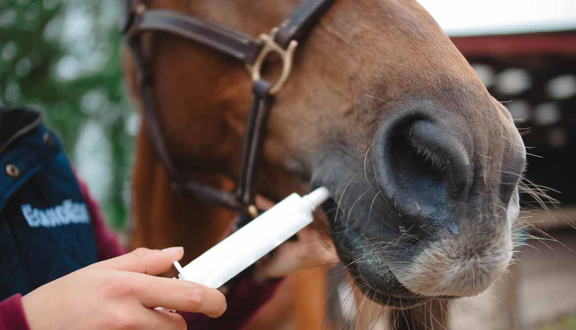 Quel est l'intérêt de la vermifugation raisonnée chez le cheval ?