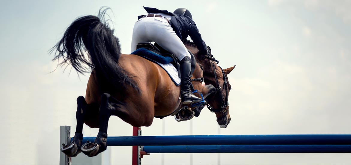 Le cycle circadien : un rôle majeur sur l’exercice et les performances chez le cheval
