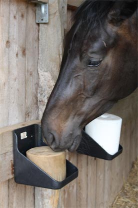 Adapter la ration de cheval atteint d'unlcère 