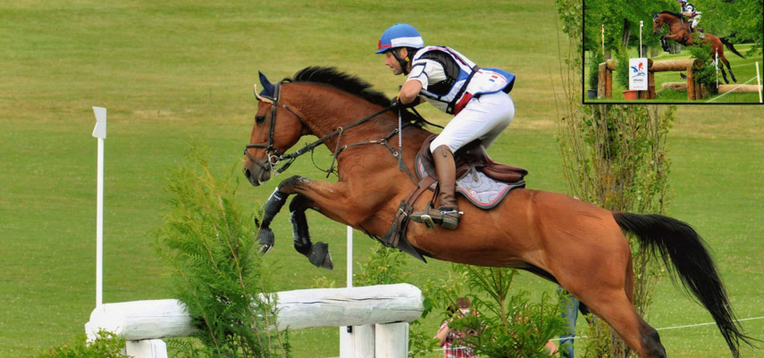 Formation à l'entraînement du cheval d'Endurance - AACIV