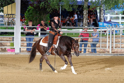 Coup de sang chez les chevaux