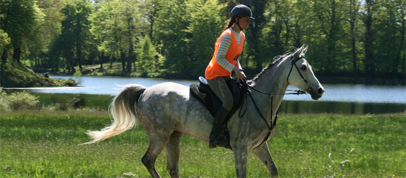 L’alimentation spécifique du cheval d’endurance