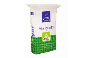 sac mixgrass