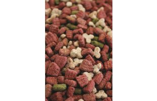 Mag Life Croc Cat - 4kg