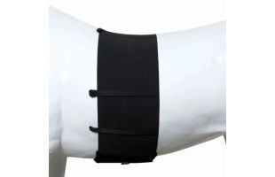 Bande de respect éperon - T. Cheval