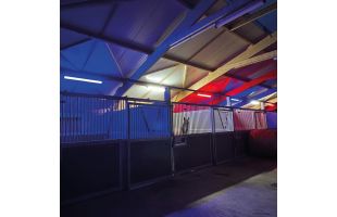 Plafonnier d'écurie LED PROXI PERFORM / BREED lumière blanc / bleu / rouge