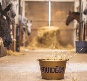 Pourquoi choisir une alimentation sans céréales pour son cheval ?