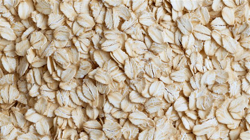 Faut-il nourrir son cheval sans avoine pour une performance plus stable ?