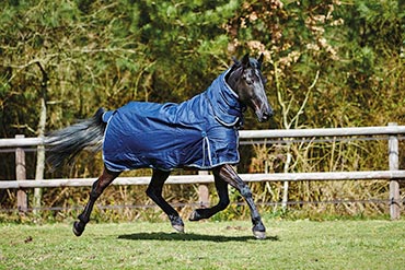 Comment bien choisir sa couverture d'extérieur pour son cheval ?