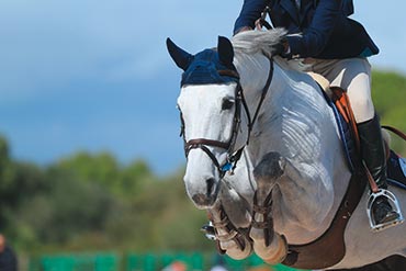 Comment gérer au mieux le lendemain de concours ?