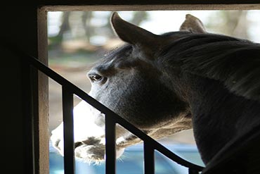 Une histoire de goût …