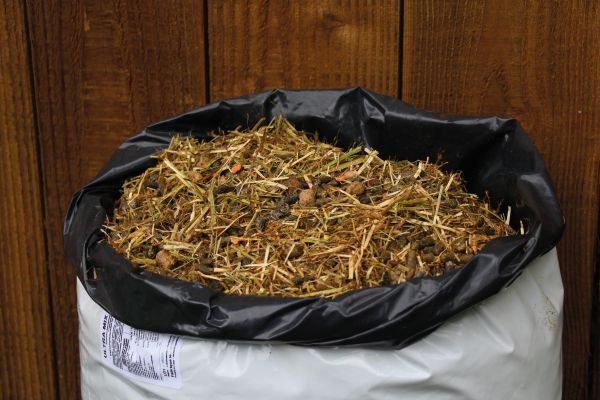 Alimentation sans céréales du cheval : mythes et réalités