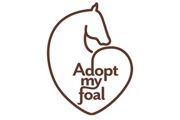 Adopt my foal : le nouveau site  gratuit de mise en relation des éleveurs de chevaux. 