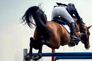 Le cycle circadien : un rôle majeur sur l’exercice et les performances chez le cheval