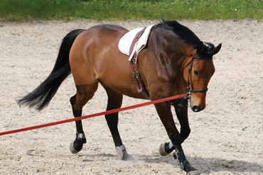 Longe : restez zen !