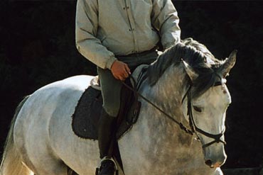 Un cavalier de poids