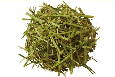 Les indispensables protéines