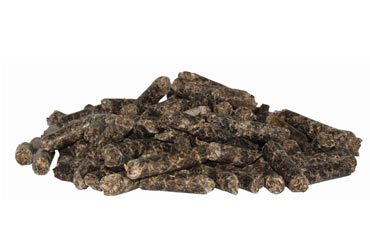 Ration du cheval de sport : Quel est l’intérêt de l’incorporation de pulpe de betterave dans la ration du cheval au travail ?