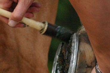 Santé des pieds : le rôle de l’alimentation