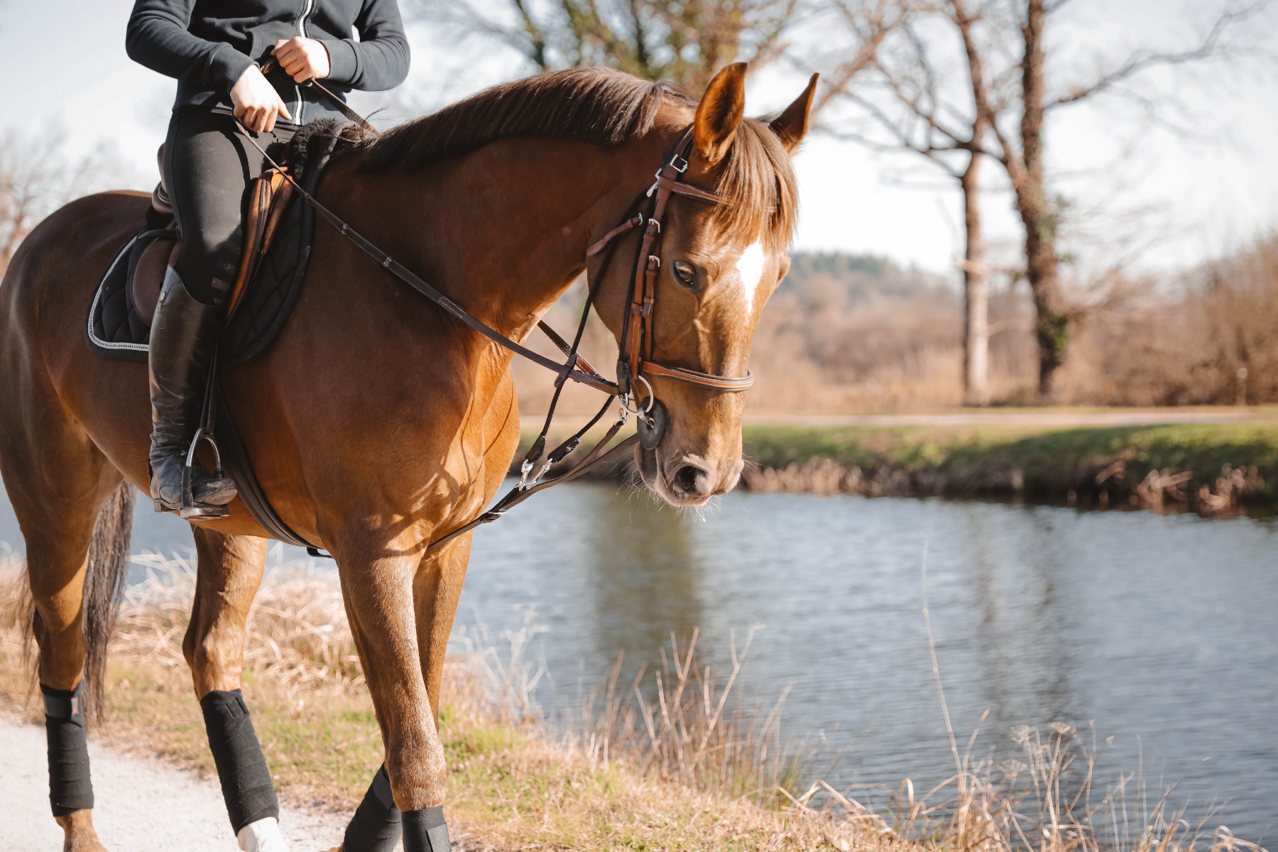 Porte cravache equitation - Cheval et Compagnie